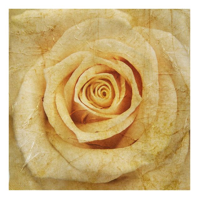 quadro com flores Vintage Rose