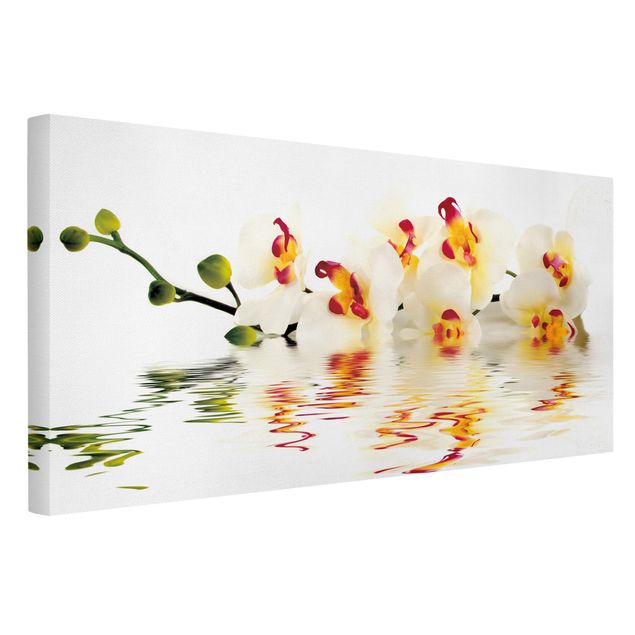 Telas decorativas flores Vivid Orchid Waters