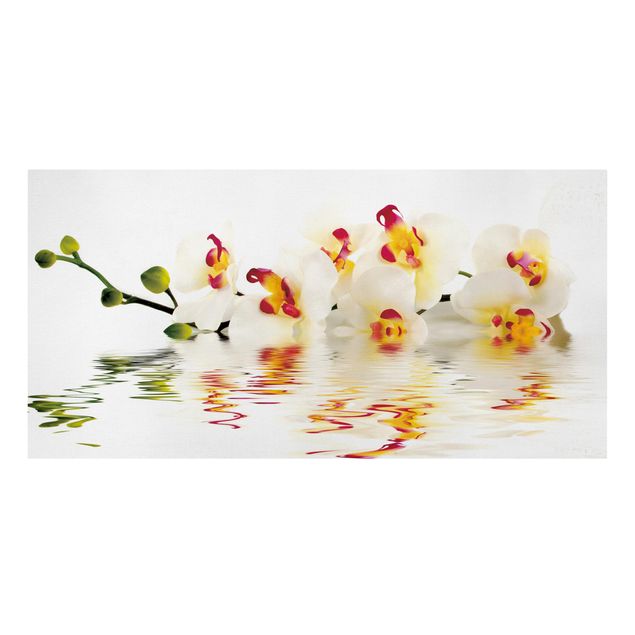Quadros florais Vivid Orchid Waters