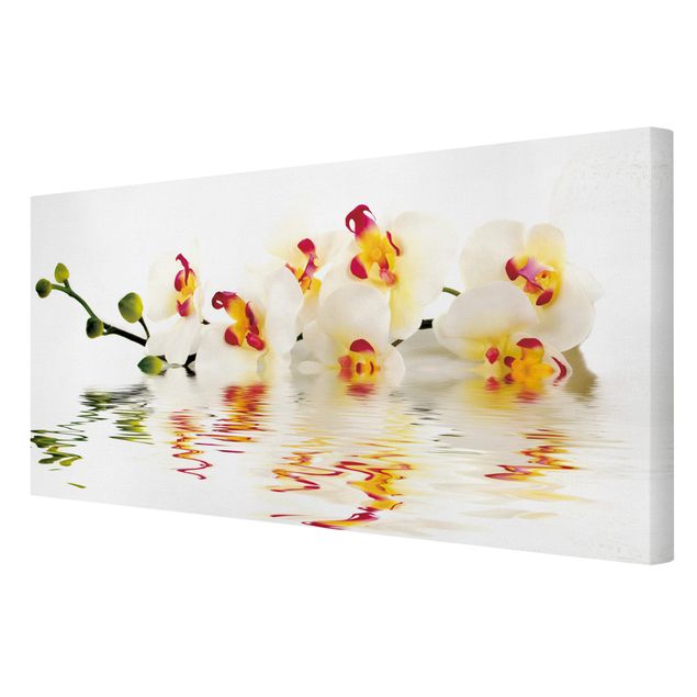 quadros de flores Vivid Orchid Waters