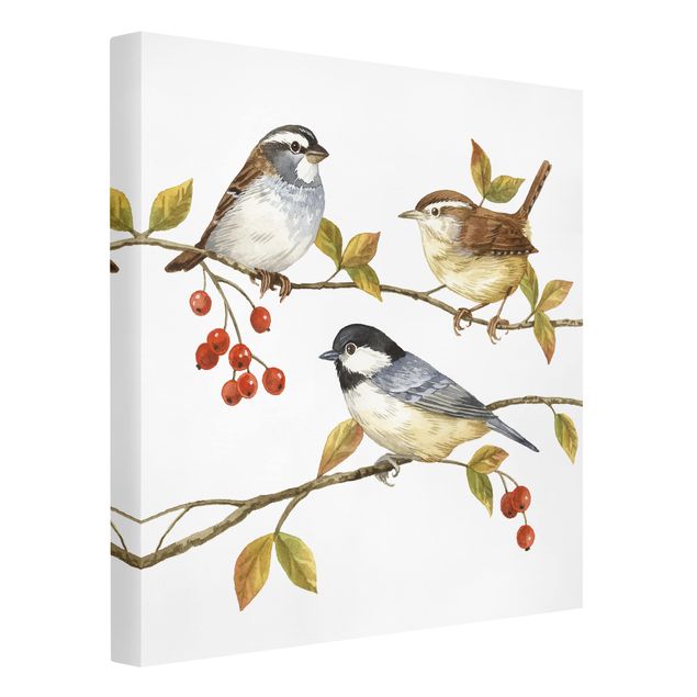 Telas decorativas animais Birds And Berries - Tits