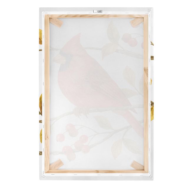 quadros em tela Birds And Berries - Northern Cardinal