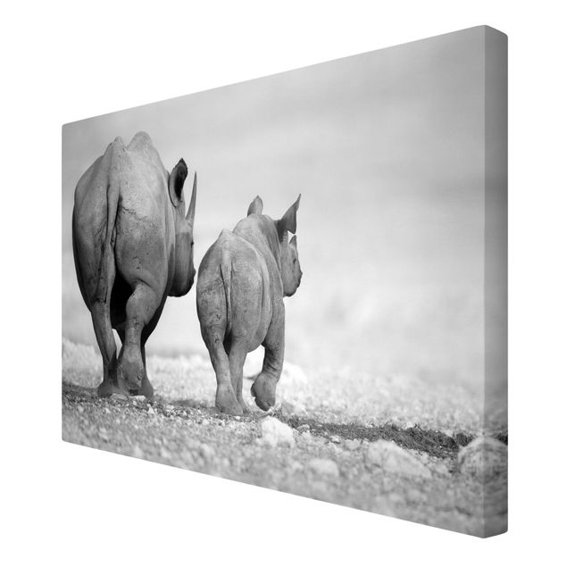 Telas decorativas Wandering Rhinos II