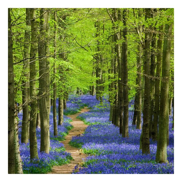 Telas decorativas paisagens Trail in Hertfordshire