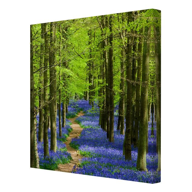 Telas decorativas florestas Trail in Hertfordshire