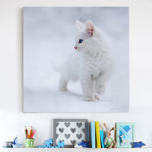 Telas decorativas gatos White as Snow