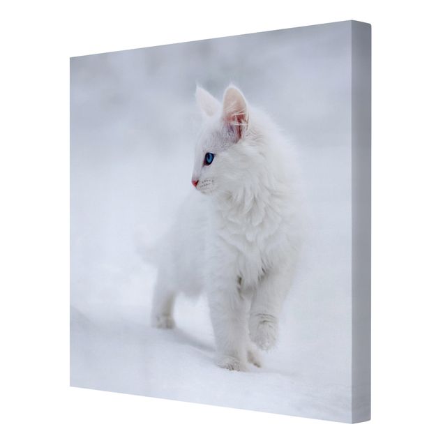 quadro animal White as Snow
