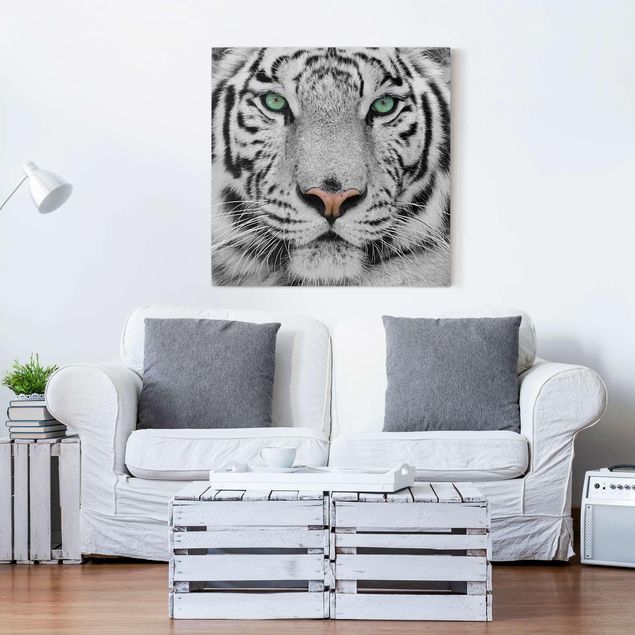 Telas decorativas tigres White Tiger