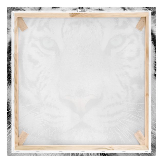 quadros modernos para quarto de casal White Tiger