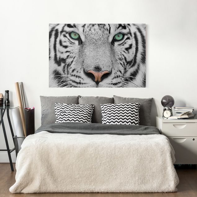 Telas decorativas gatos White Tiger