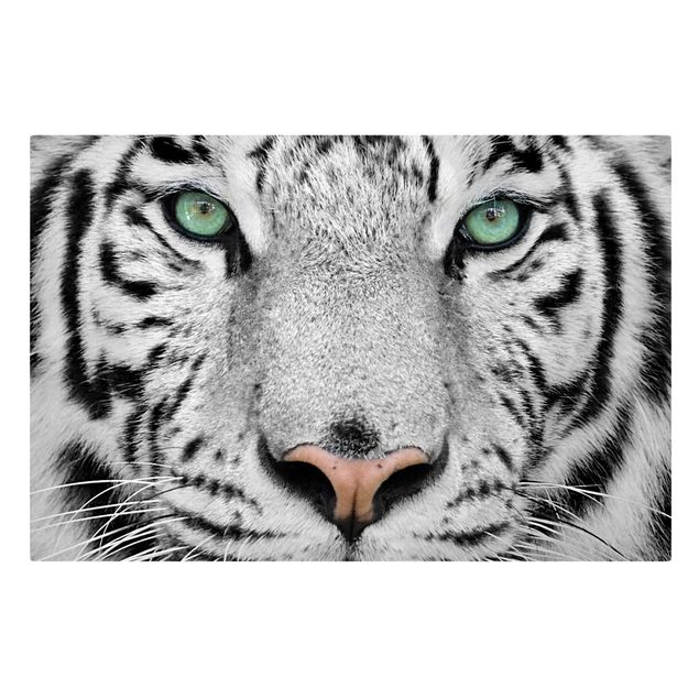 Telas decorativas em preto e branco White Tiger