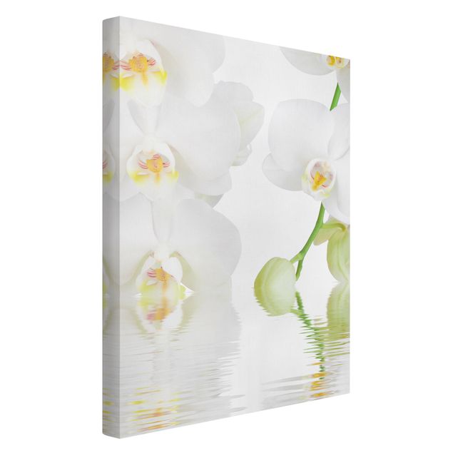 Telas decorativas flores Spa Orchid - White Orchid
