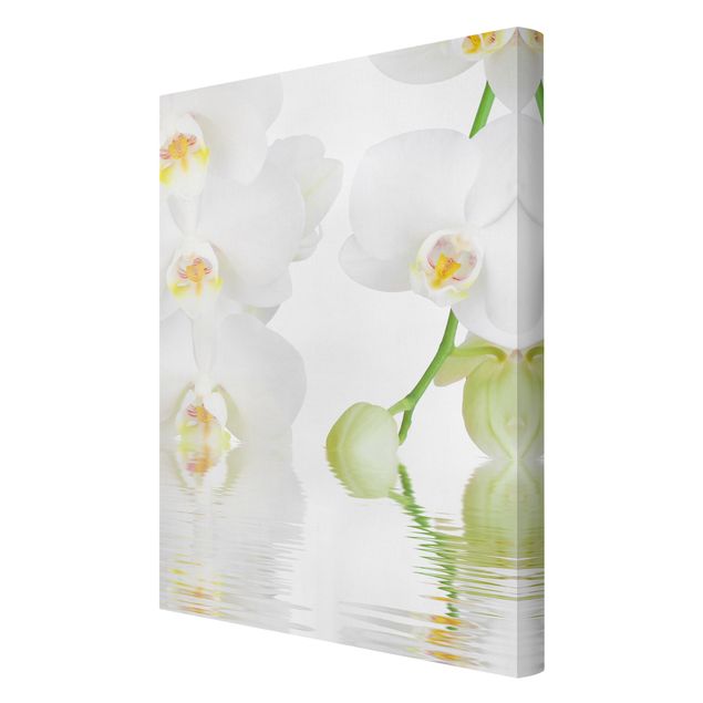 quadros flores Spa Orchid - White Orchid
