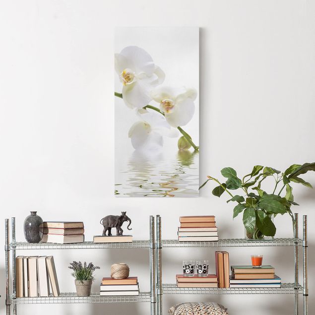 decoraçao para parede de cozinha White Orchid Waters
