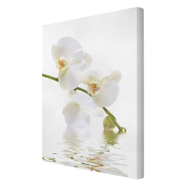 quadros de flores White Orchid Waters