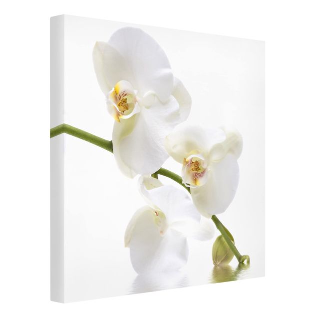 Telas decorativas flores White Orchid Waters