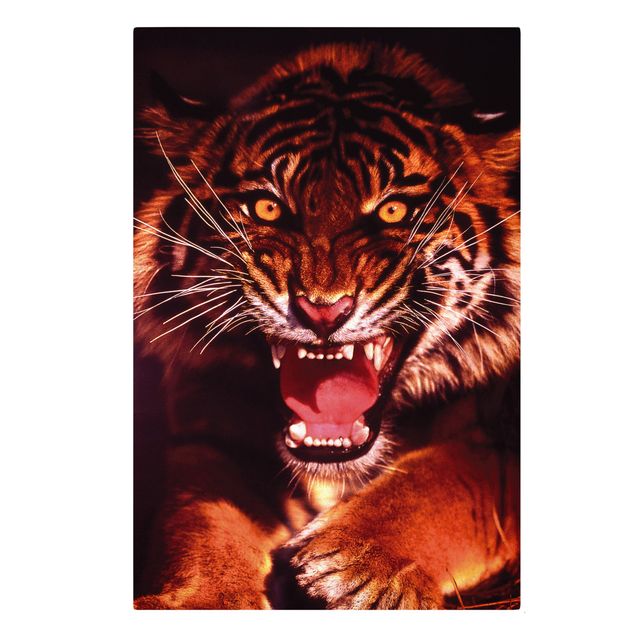 Quadros tigres Wild Tiger