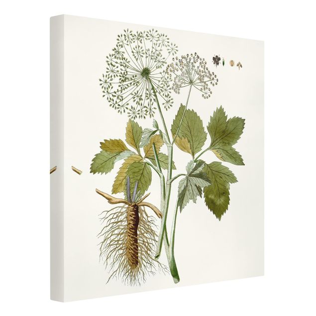 quadro com flores Wild Herbs Board IV