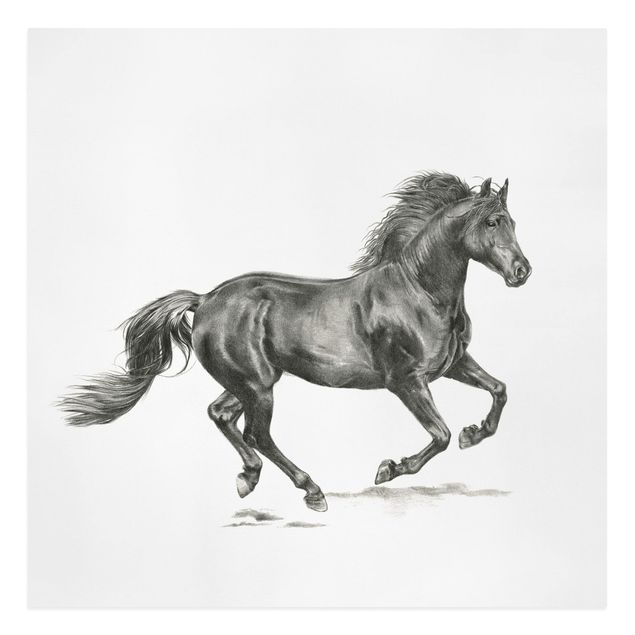 Telas decorativas animais Wild Horse Trial - Stallion