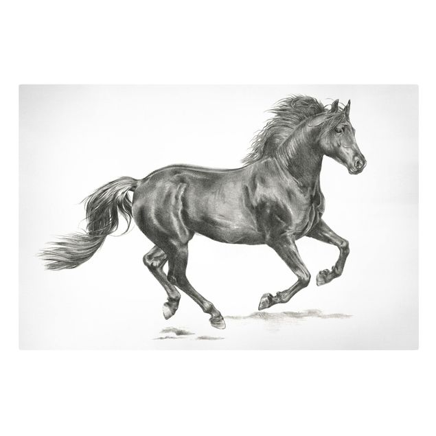 Telas decorativas animais Wild Horse Trial - Stallion