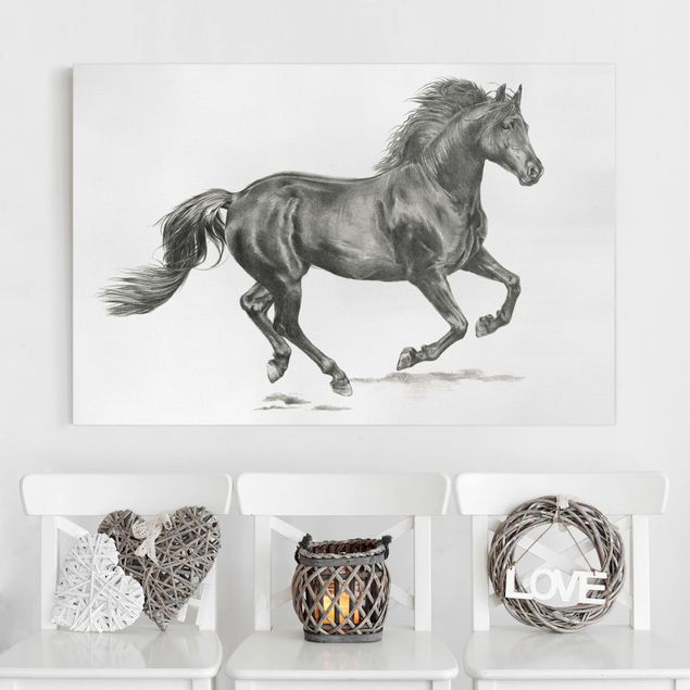 decoraçoes cozinha Wild Horse Trial - Stallion