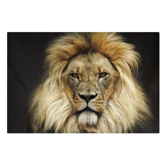 Telas decorativas animais Wisdom Of Lion