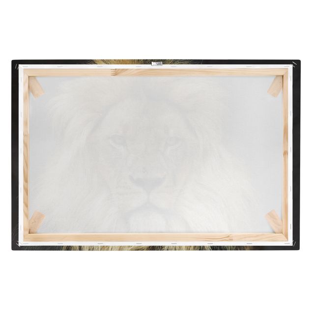 quadro animal Wisdom Of Lion