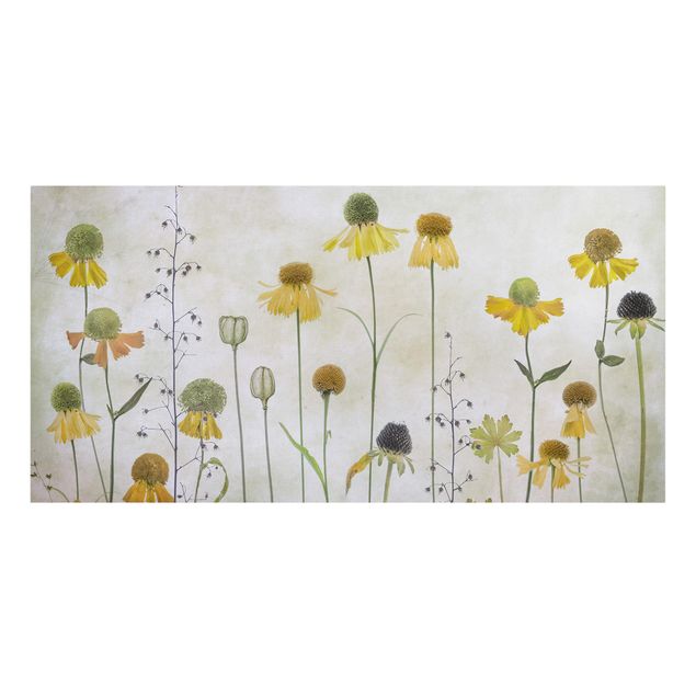 quadros para parede Delicate Helenium Flowers