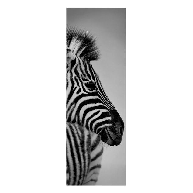 Telas decorativas animais Zebra Baby Portrait II