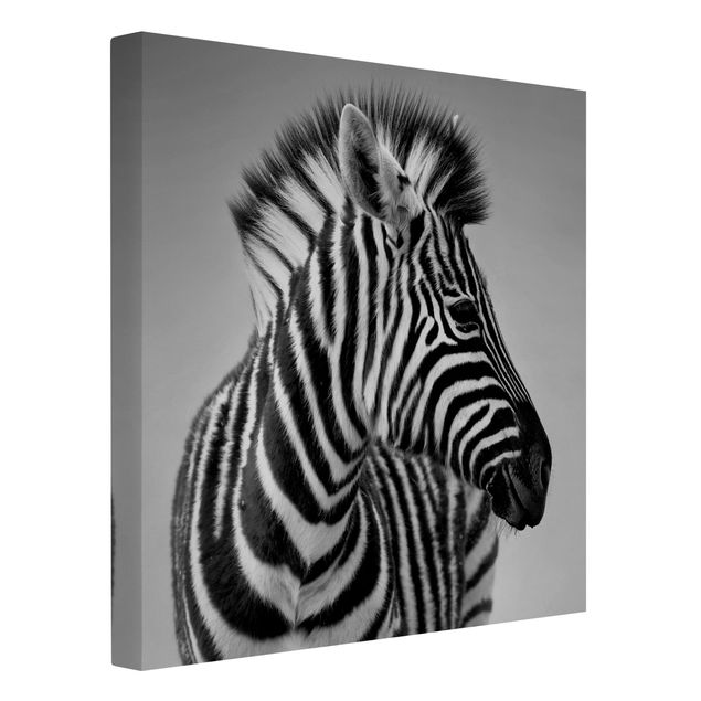 Telas decorativas em preto e branco Zebra Baby Portrait II