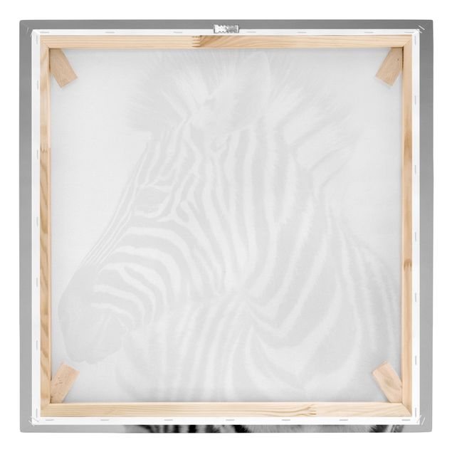 Quadros preto e branco Zebra Baby Portrait II
