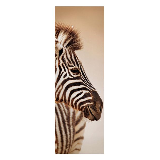 Telas decorativas animais Zebra Baby Portrait