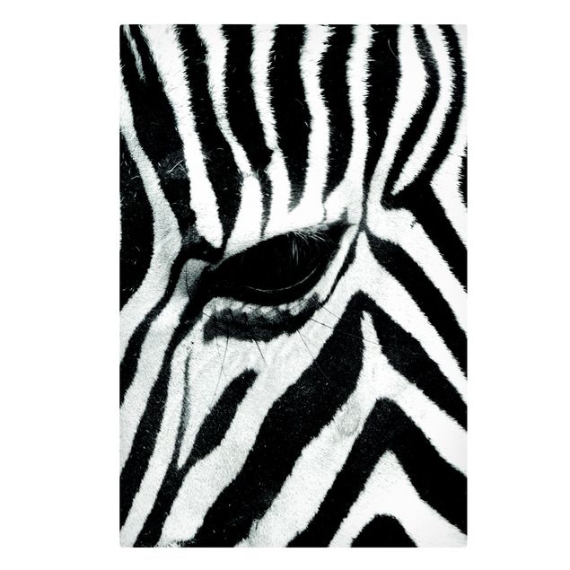 Telas decorativas animais Zebra Crossing No.3