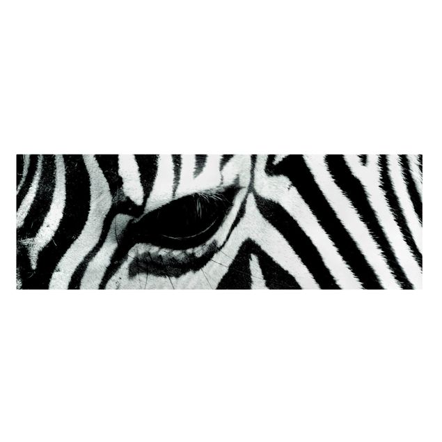 Telas decorativas em preto e branco Zebra Crossing