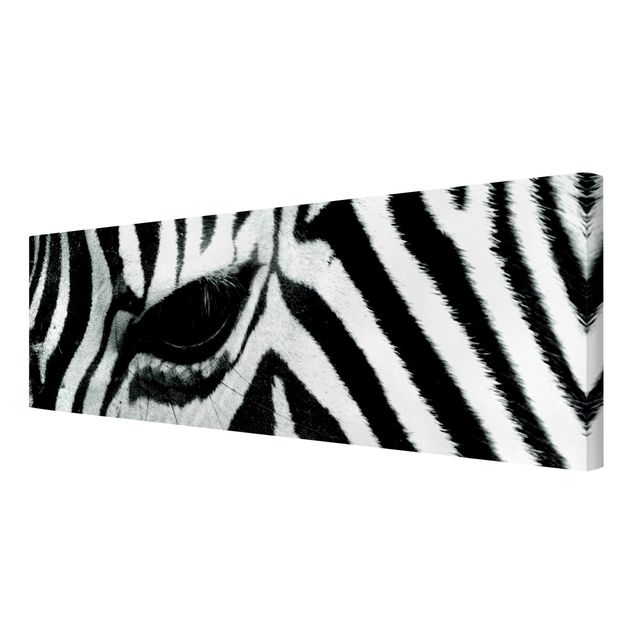 Telas decorativas animais Zebra Crossing