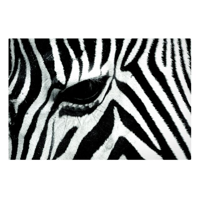 Telas decorativas em preto e branco Zebra Crossing
