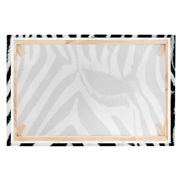 Quadros África Zebra Crossing