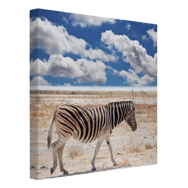 quadro com paisagens Zebra In The Savannah