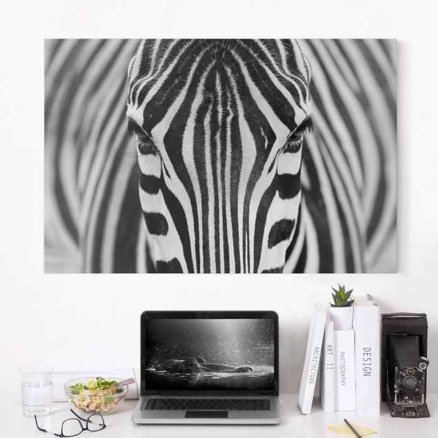 decoraçao para parede de cozinha Zebra Look