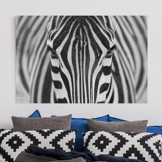 Telas decorativas cavalos Zebra Look