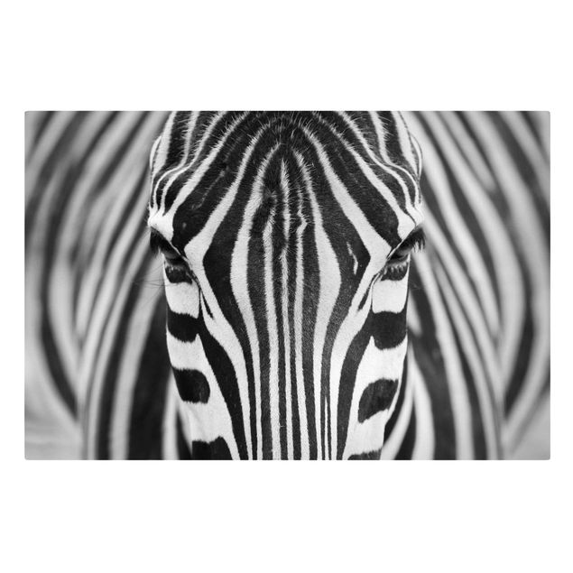 Telas decorativas em preto e branco Zebra Look