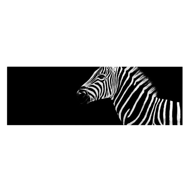 Telas decorativas animais Zebra Safari Art