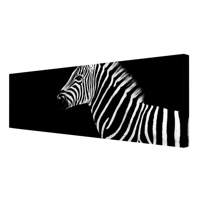 Quadros África Zebra Safari Art