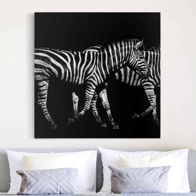 Telas decorativas zebras Zebra In The Dark