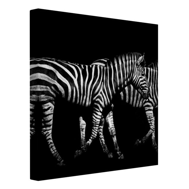 Telas decorativas em preto e branco Zebra In The Dark