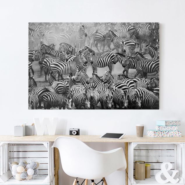 Telas decorativas zebras Zebra herd II