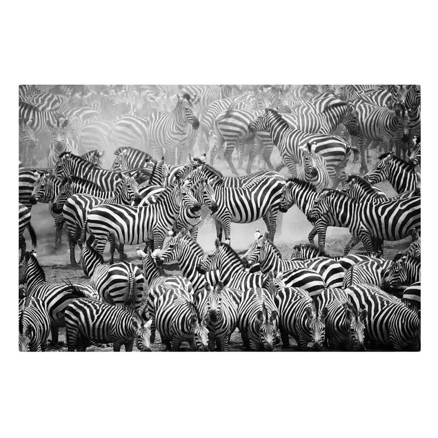 Telas decorativas animais Zebra herd II