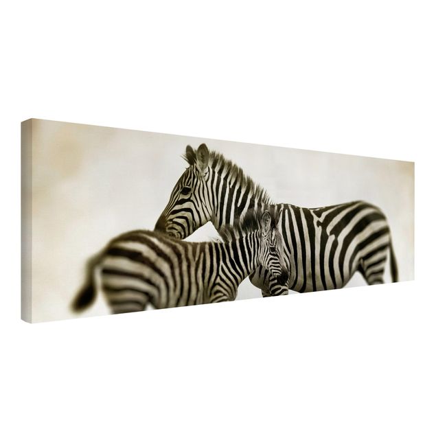 Telas decorativas em preto e branco Zebra Couple