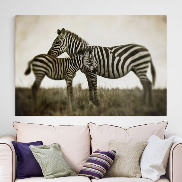 decoraçao para parede de cozinha Zebra Couple