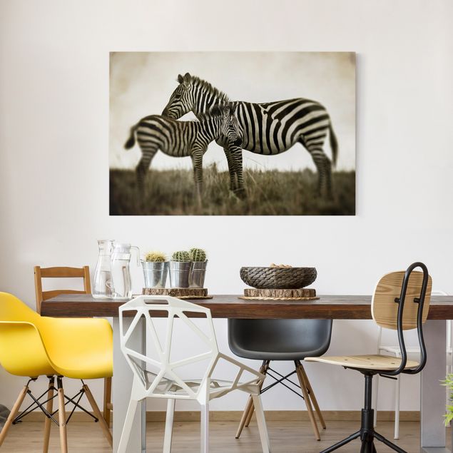 Telas decorativas zebras Zebra Couple